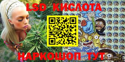 стаф Ливны