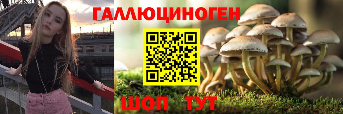 Псилоцибиновые грибы мицелий  Вход с VPN  Углич 